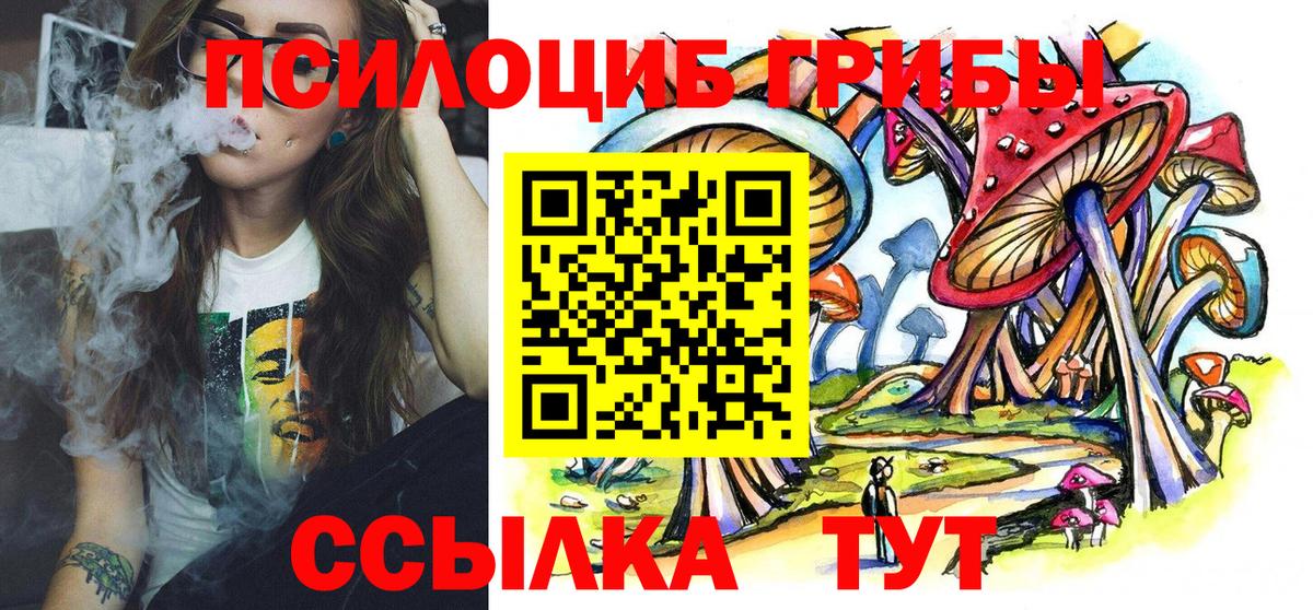 Галлюциногенные грибы прущие грибы Березники