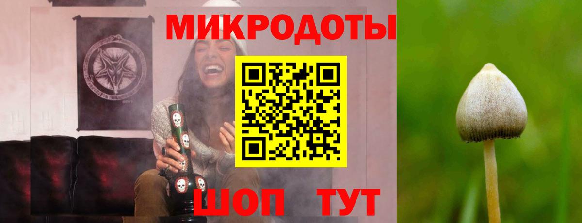 Березники  Псилоцибиновые грибы Psilocybine cubensis  Вход с VPN 